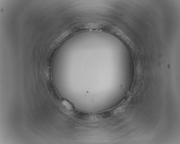 X0000071830305200607141707