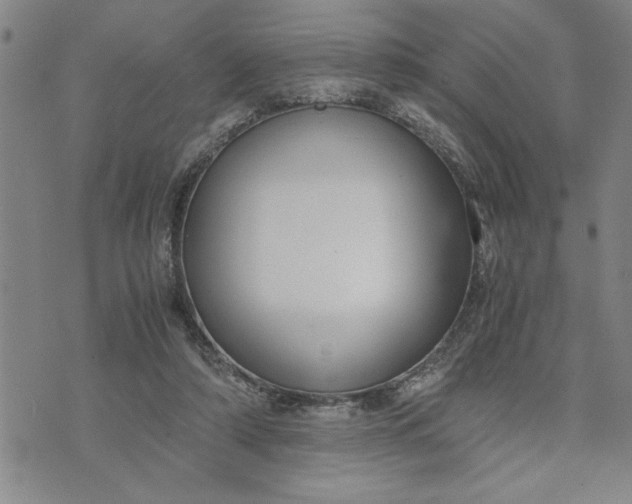 X0000071830306200607141707