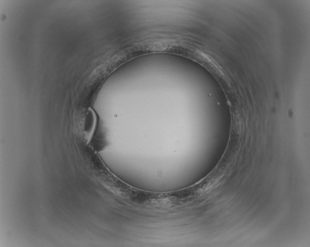 X0000071830307200607141707