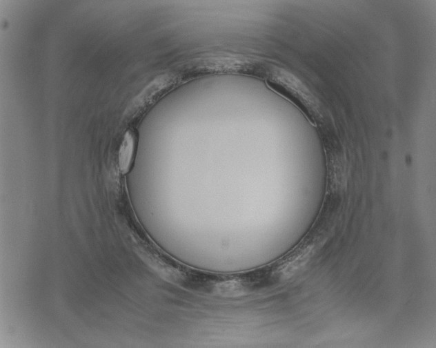 X0000071830309200607141707