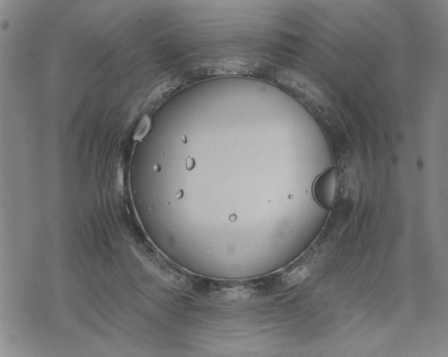 X0000071830310200607141707