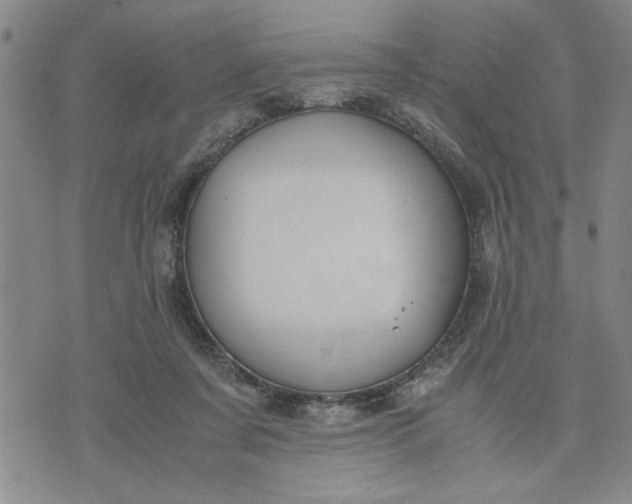 X0000071830311200607141707