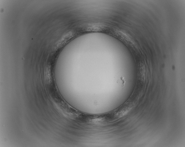 X0000071830312200607141707