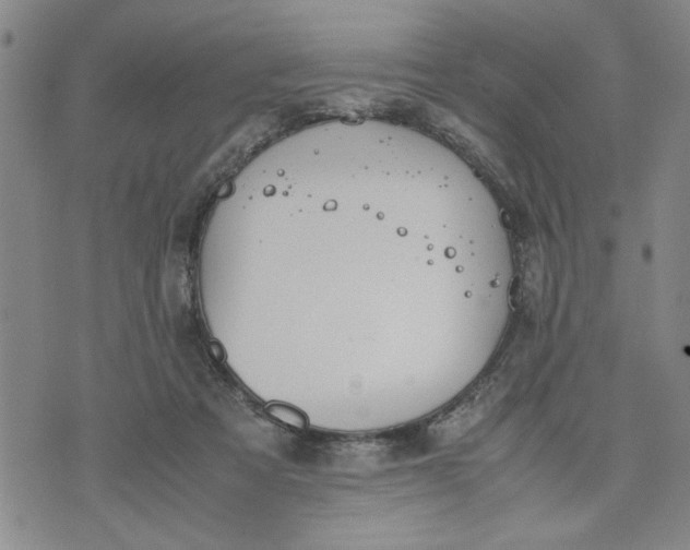 X0000071830313200607141707