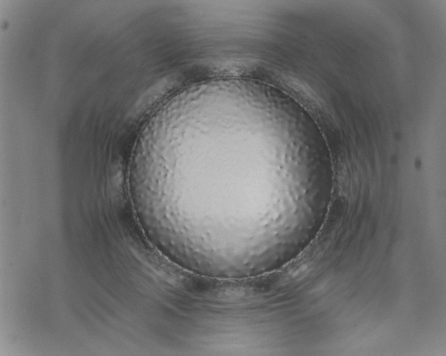 X0000071830314200607141707