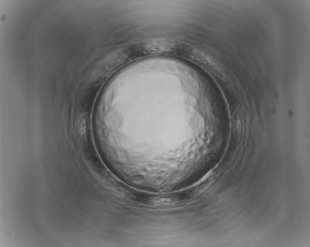 X0000071830315200607141707