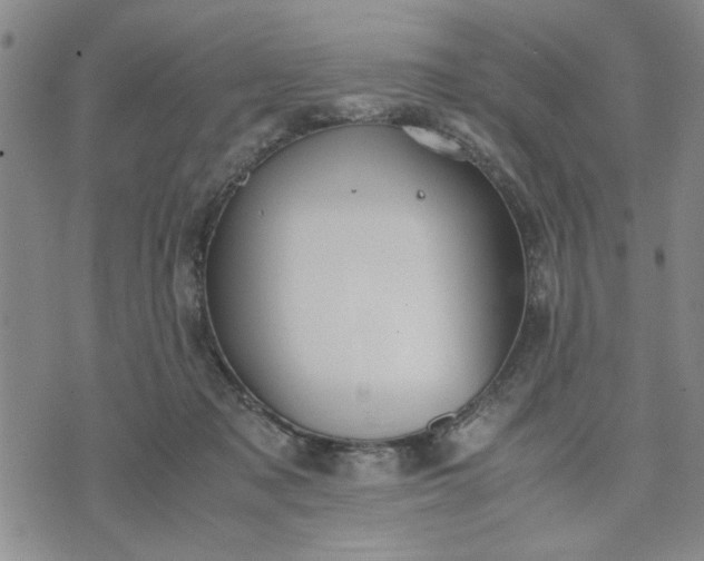 X0000071830317200607141707