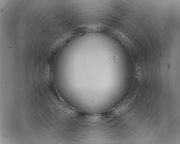 X0000071830318200607141707