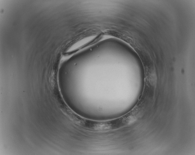 X0000071830319200607141707