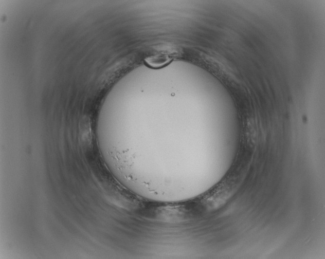 X0000071830320200607141707