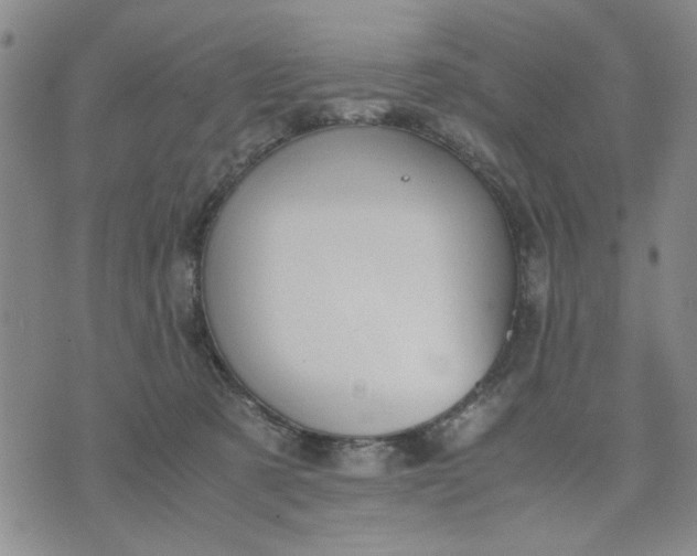 X0000071830321200607141707