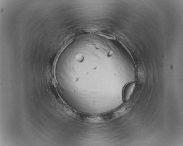 X0000071830322200607141706