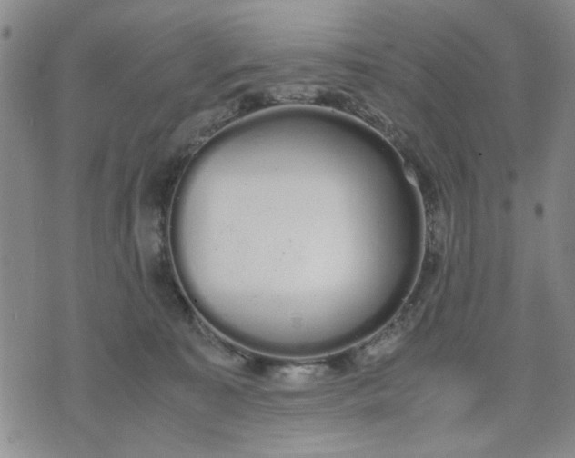 X0000071830323200607141706