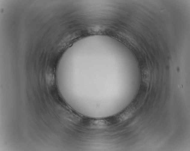 X0000071830324200607141706