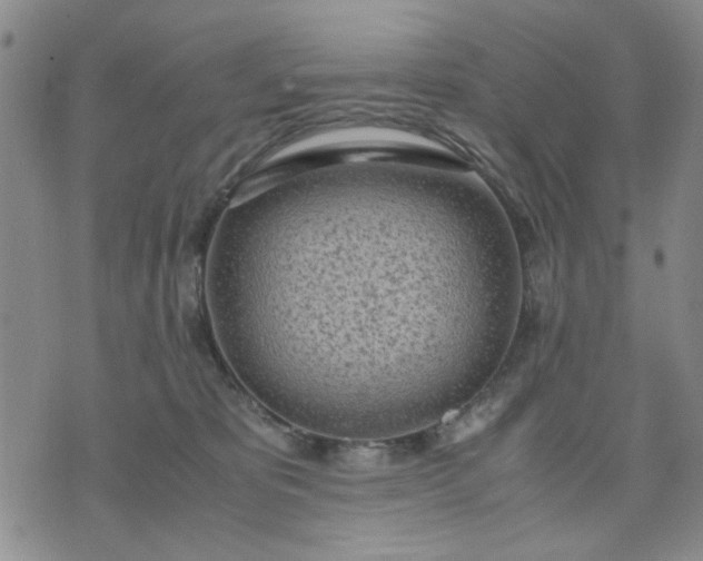 X0000071830325200607141706