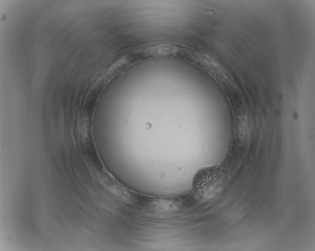 X0000071830326200607141706