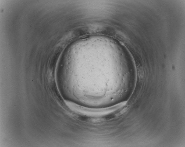 X0000071830327200607141706