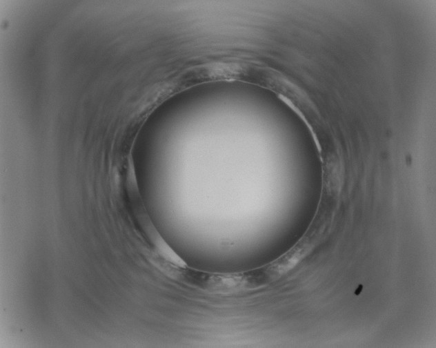 X0000071830329200607141706