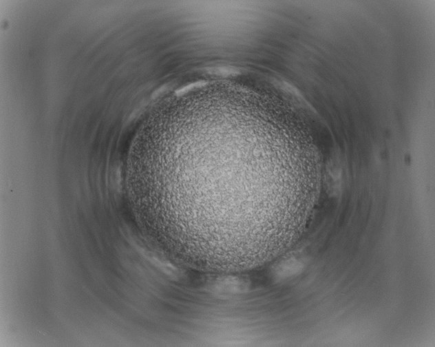 X0000071830330200607141706