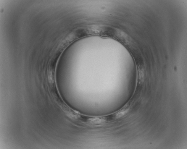 X0000071830331200607141706