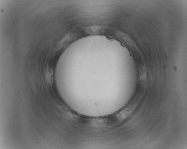 X0000071830332200607141706