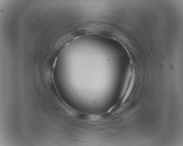 X0000071830333200607141706