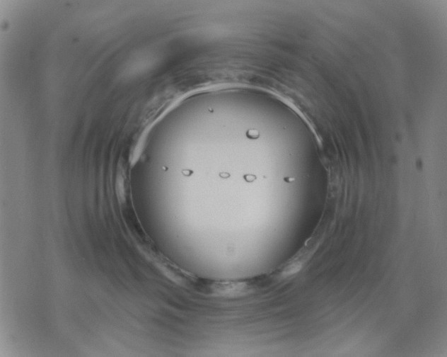 X0000071830334200607141706