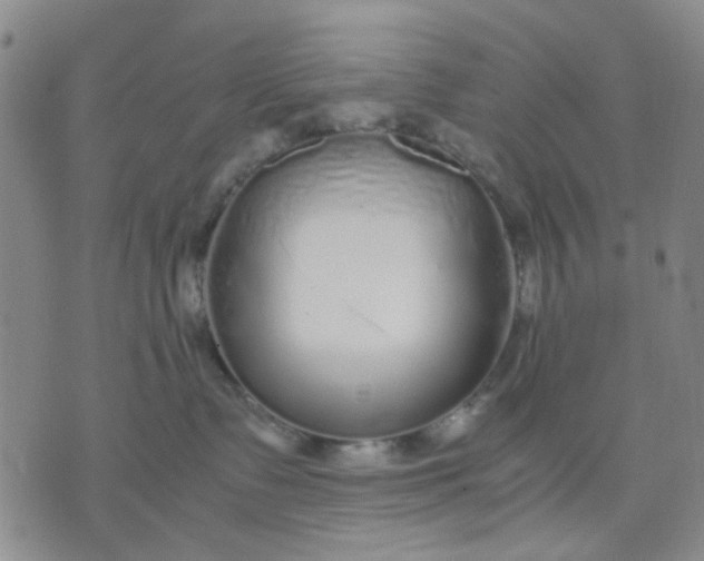 X0000071830335200607141706