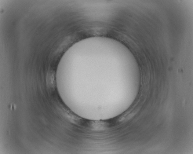 X0000071830336200607141706