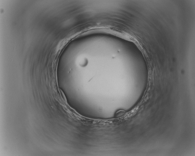 X0000071830337200607141705