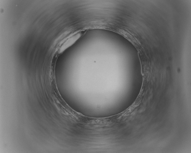 X0000071830338200607141706