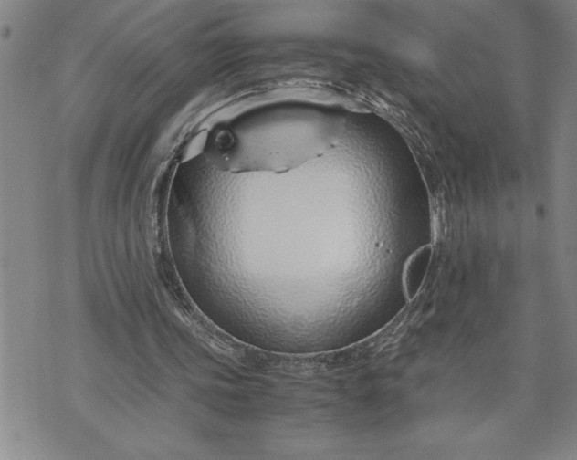 X0000071830339200607141706