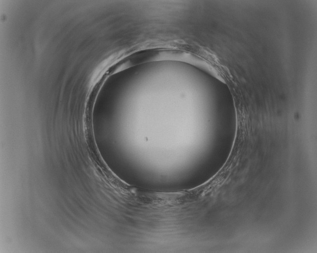 X0000071830340200607141706