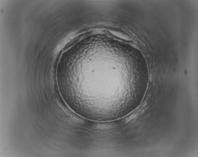 X0000071830341200607141706