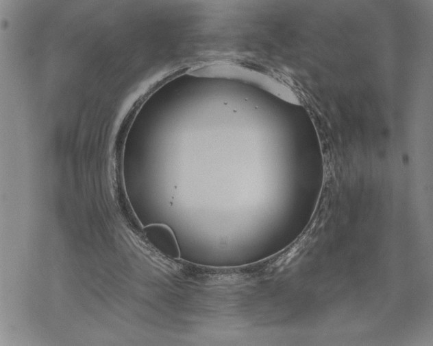 X0000071830342200607141706