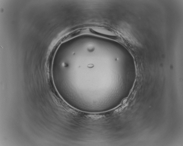 X0000071830343200607141706