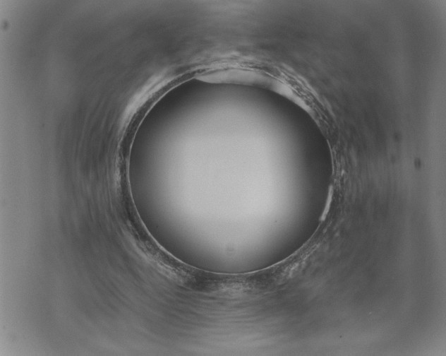 X0000071830344200607141706