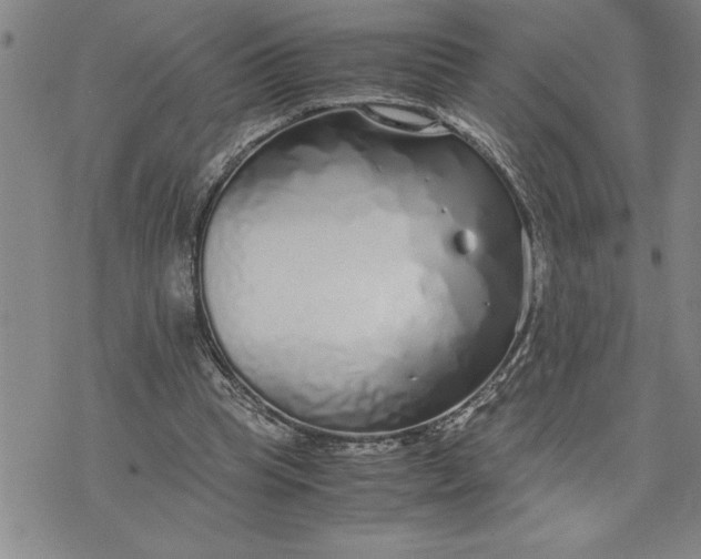 X0000071830345200607141706