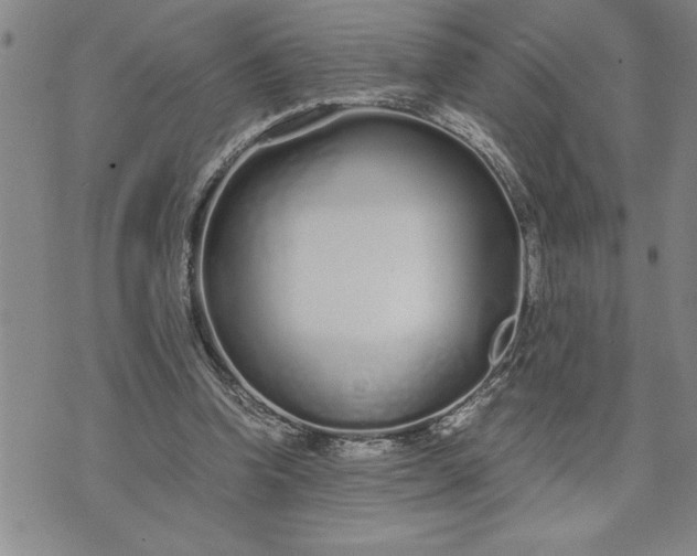 X0000071830346200607141706