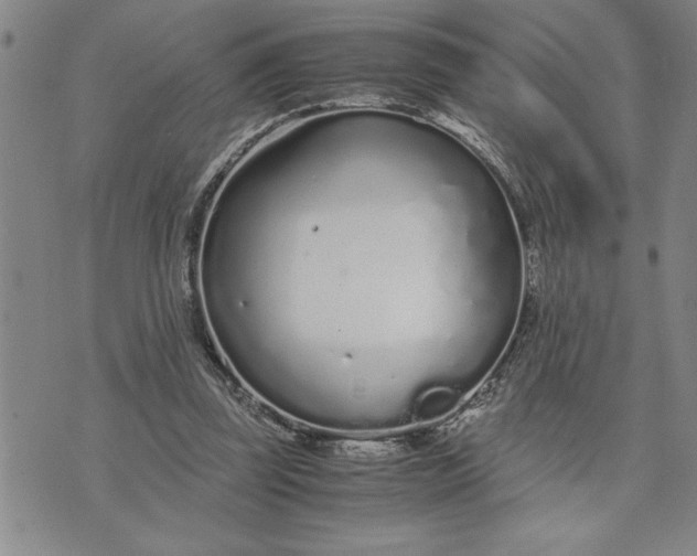 X0000071830347200607141706