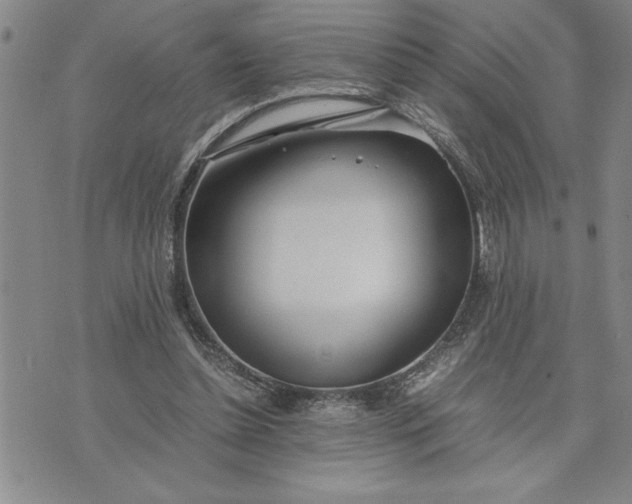 X0000071830348200607141706