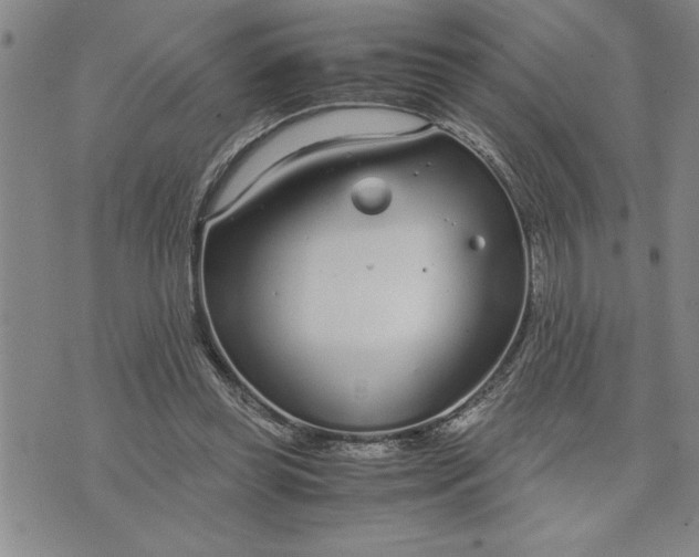 X0000071830349200607141706