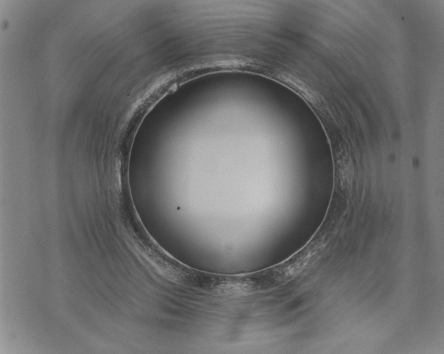 X0000071830350200607141706