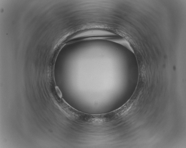 X0000071830352200607141706