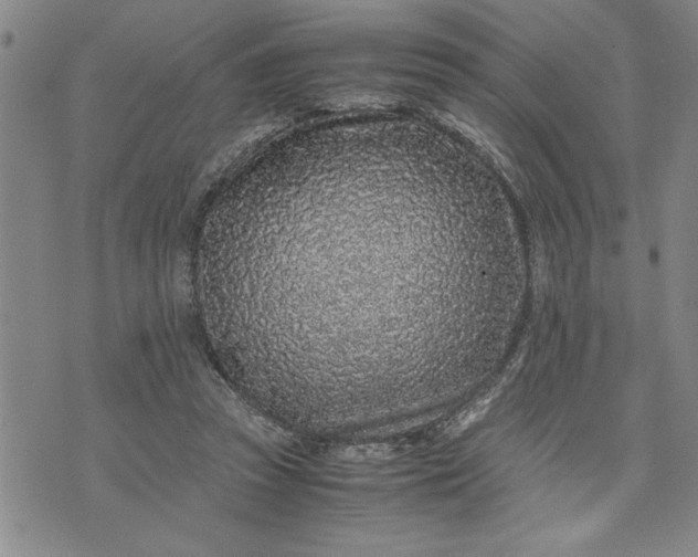 X0000071830353200607141706