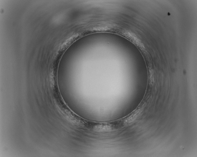 X0000071830354200607141706