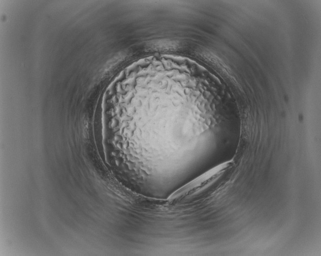 X0000071830355200607141706