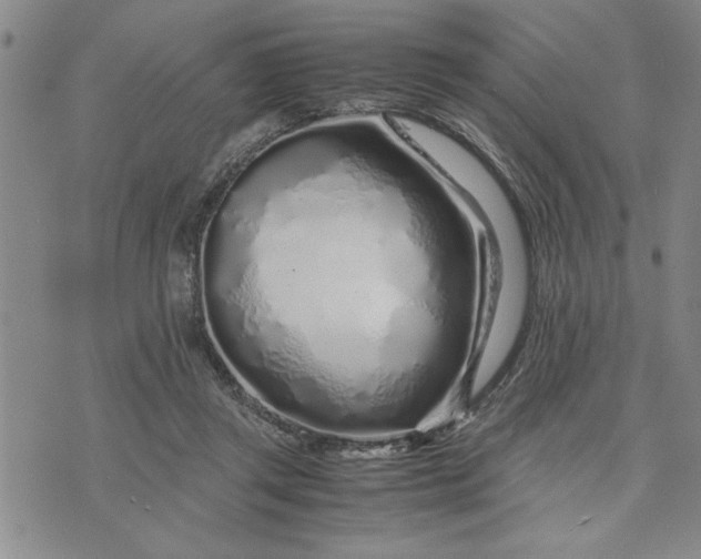 X0000071830357200607141706