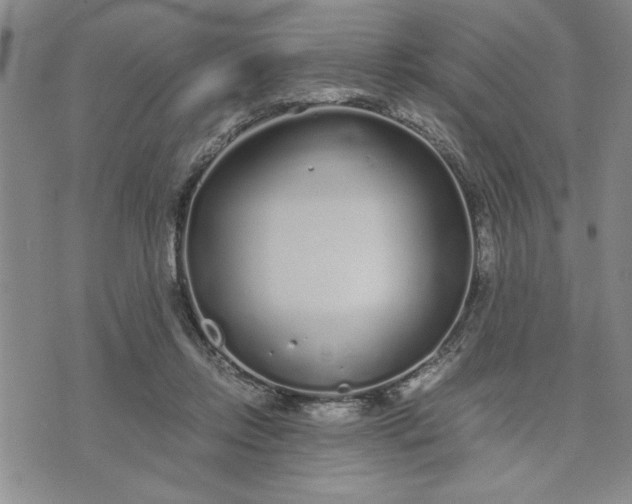 X0000071830358200607141706