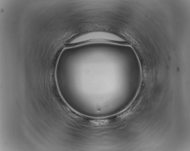 X0000071830359200607141706